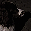 img_20260823_000112_bd6e5136.png